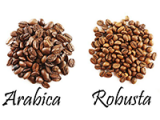 Tìm hiểu các giống cà phê trên thế giới